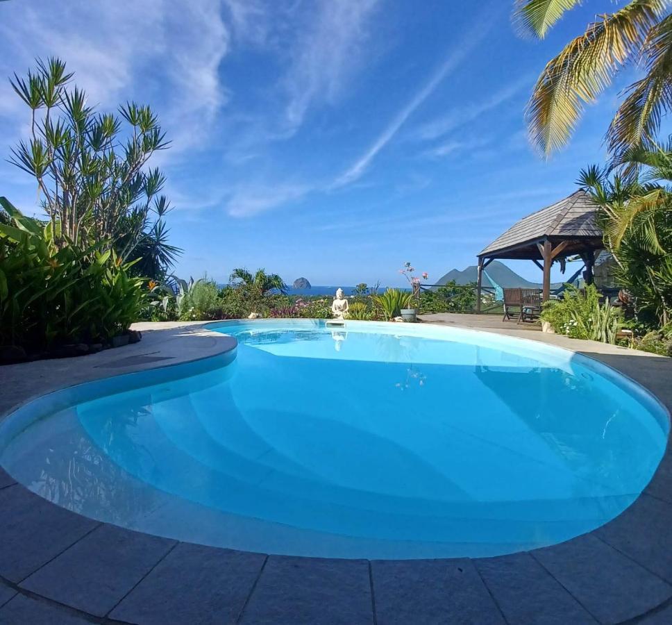 Ti Coin De Paradis Frangipanier ル・ディアマン エクステリア 写真